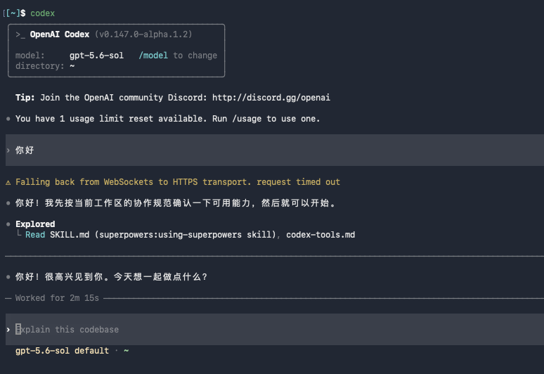 终端中 Codex CLI 正常回复测试消息